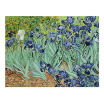 Irises by Vincent van Gogh Post Cards