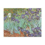 Irises by Vincent van Gogh