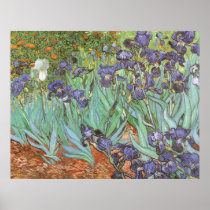 Irises by Vincent van Gogh