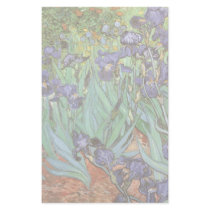Irises by Vincent van Gogh