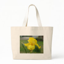 IRISES IRIS FLOWERS 2 Cards Art Gifts Bags