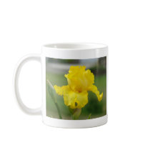 IRISES IRIS FLOWERS 2 Cards Art Gifts Bags Coffee Mugs