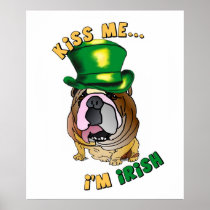 Irish Bulldog Poster Print