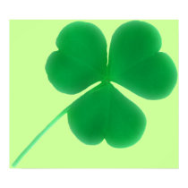 Irish Clover Poster posters