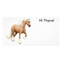 Irish Cob Photo Card
