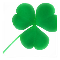 Irish Green Shamrock Canvas Print posters