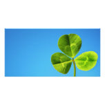 Irish luck custom photo card