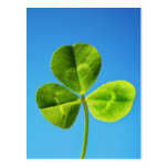 Irish luck post card