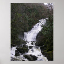 Irish Mist Posters