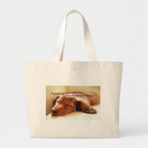 Irish Proverb and Sleeping Dog Bag
