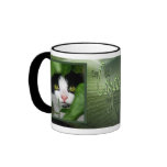Irish Saying Mugs