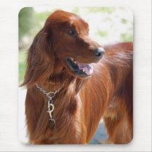 Irish Setter Mousepad
