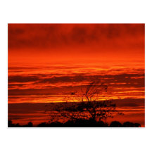 Irish Sunset Postcards