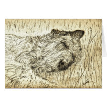 Irish Wolfhound "Let sleeping dogs lie" Card