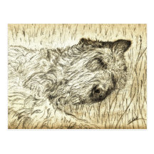 Irish Wolfhound "Let sleeping dogs lie" Postcard