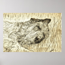 Irish Wolfhound "Let sleeping dogs lie" Poster