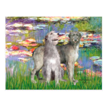 Irish Wolfhound Pair - Lilies 2 Post Cards