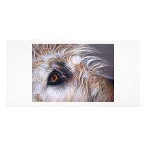 Irish Wolfhound Photo Cards
