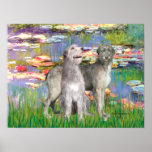 Irish Wolfhounds (two)- Lilies 2 Poster