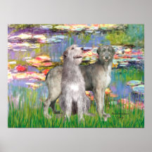 Irish Wolfhounds (two)- Lilies 2 Poster