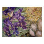 "Irisis In A Flield" Postcard