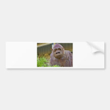 Iron Ape Bumper Stickers
