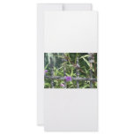 Iron fence, green leaves, purple flower customized rack card