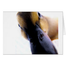 Is anyone out there greeting card