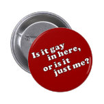 Is it gay in here, or is it just me? pin