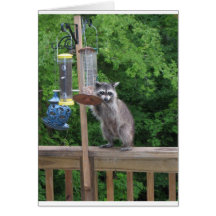 is it lunchtime yet? card