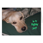 Is itFRIDAYyet? Greeting Cards