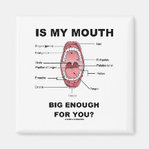 Is My Mouth Big Enough For You? (Anatomical Humour Magnets