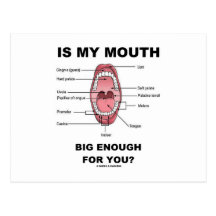 Is My Mouth Big Enough For You? (Anatomical Humour Postcards
