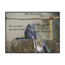 Is One Of The Earp Boys About To Be Hung? Postcard