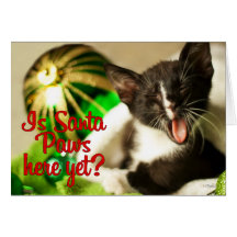 Is Santa Paws Here Yet? Card