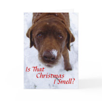 Is that Christmas I smell? Cards