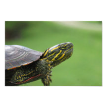 Is this my best side? photo print