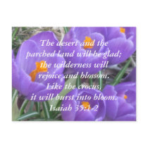 Isaiah 35:1-2 ~ The Crocus Postcard