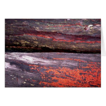ISEE;JUST JARRAH CARDS