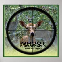 iSHOOT PHOTOGRAPHS (There is no bag limit) Posters