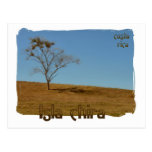 Isla de Chira Post Cards