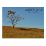 Isla de Chira Postcards