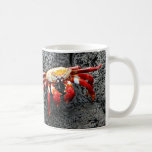 Isla Seymour, Galapagos, Red crab Coffee Mug
