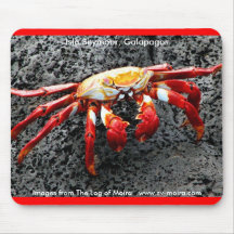 Isla Seymour, Galapagos, Red crab Mouse Pad