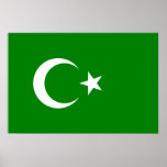 Islamic Republic Of Turkestan, Colombia flag Poster