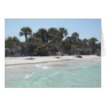 Island Paradise Cards