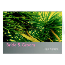 Island Promise Cards