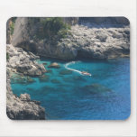 Isle of Capri Mouse Pads