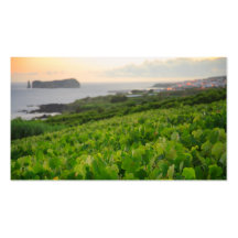 Islet and Vineyards Business Card Templates