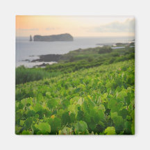 Islet and Vineyards Fridge Magnet
